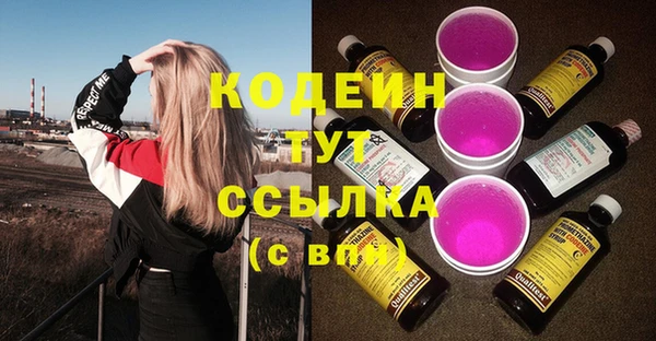 прущие грибы Баксан