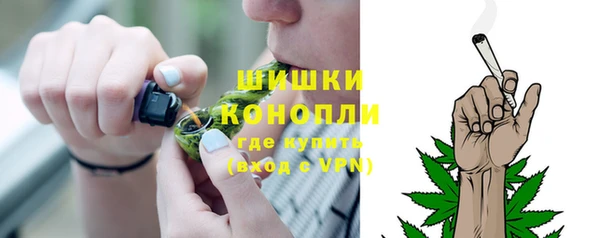 прущие грибы Баксан