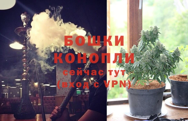 прущие грибы Баксан