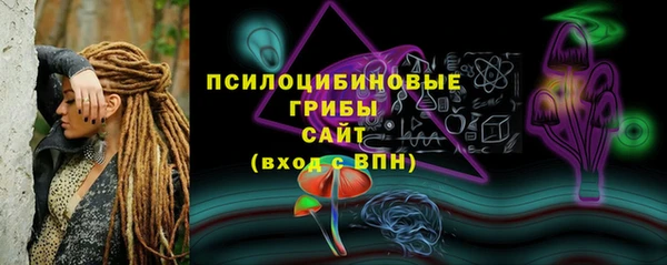 прущие грибы Баксан
