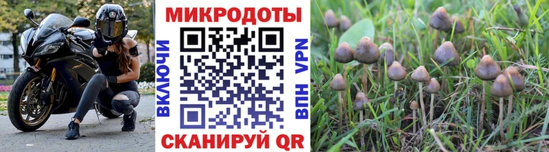 Галлюциногенные грибы прущие грибы  hydra ТОР  Унеча 